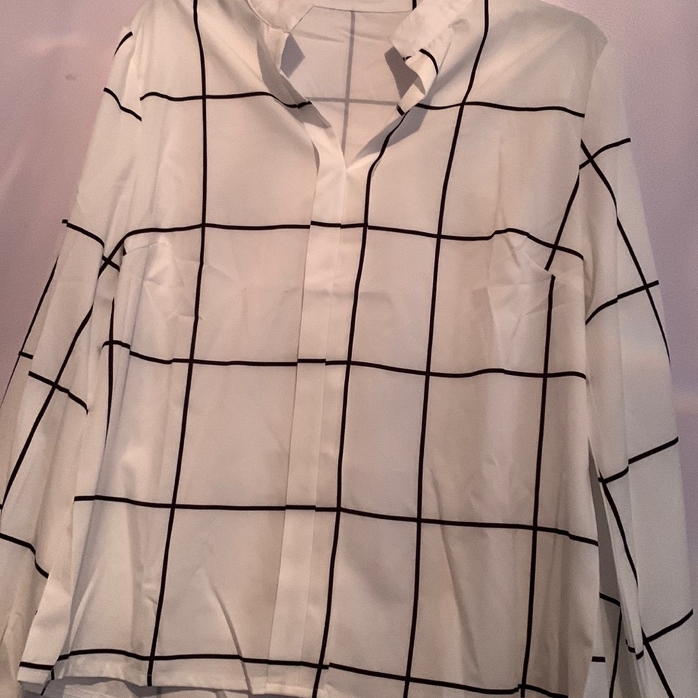H&M sheer plaid longsleeve